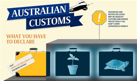 carrying fake bag through customs australia|can you bring stuff back to australia.